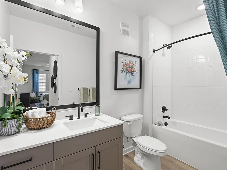 Spa inspired bathrooms