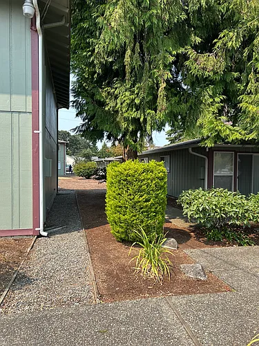 Meadow Creek Apartments Photo 1