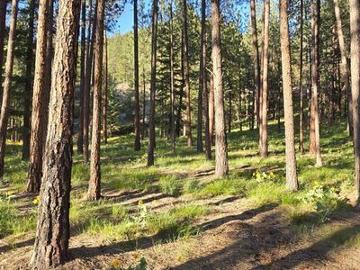 Nhn Profile Rock, Alberton, MT, 59820
