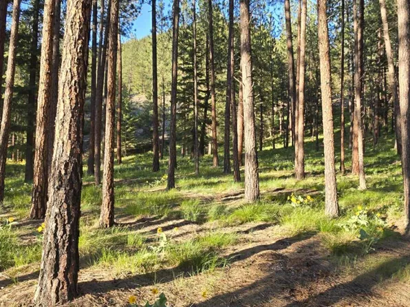 Nhn Profile Rock, Alberton, MT 59820