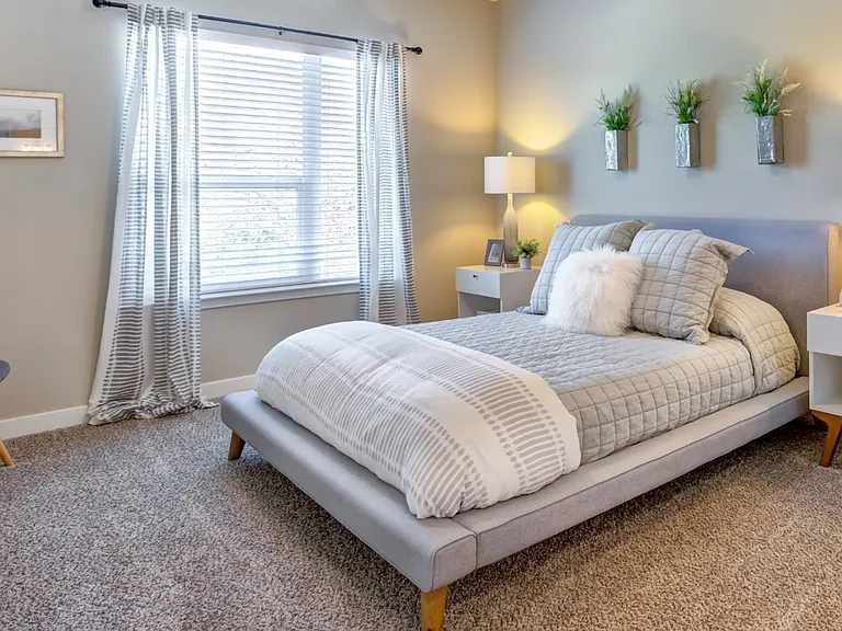 The Nolen Luxury Apartments — Photo 19