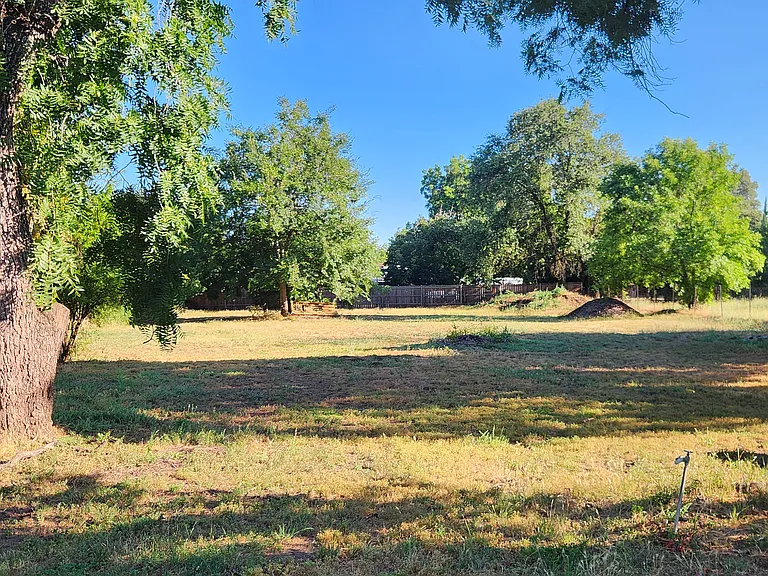 983 Myrtle Ave — Photo 4