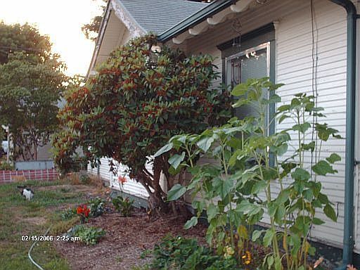 Left Side of Hs and Eves