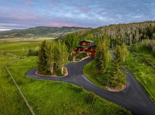 26005 Henderson Park Rd, Oak Creek, CO 80467