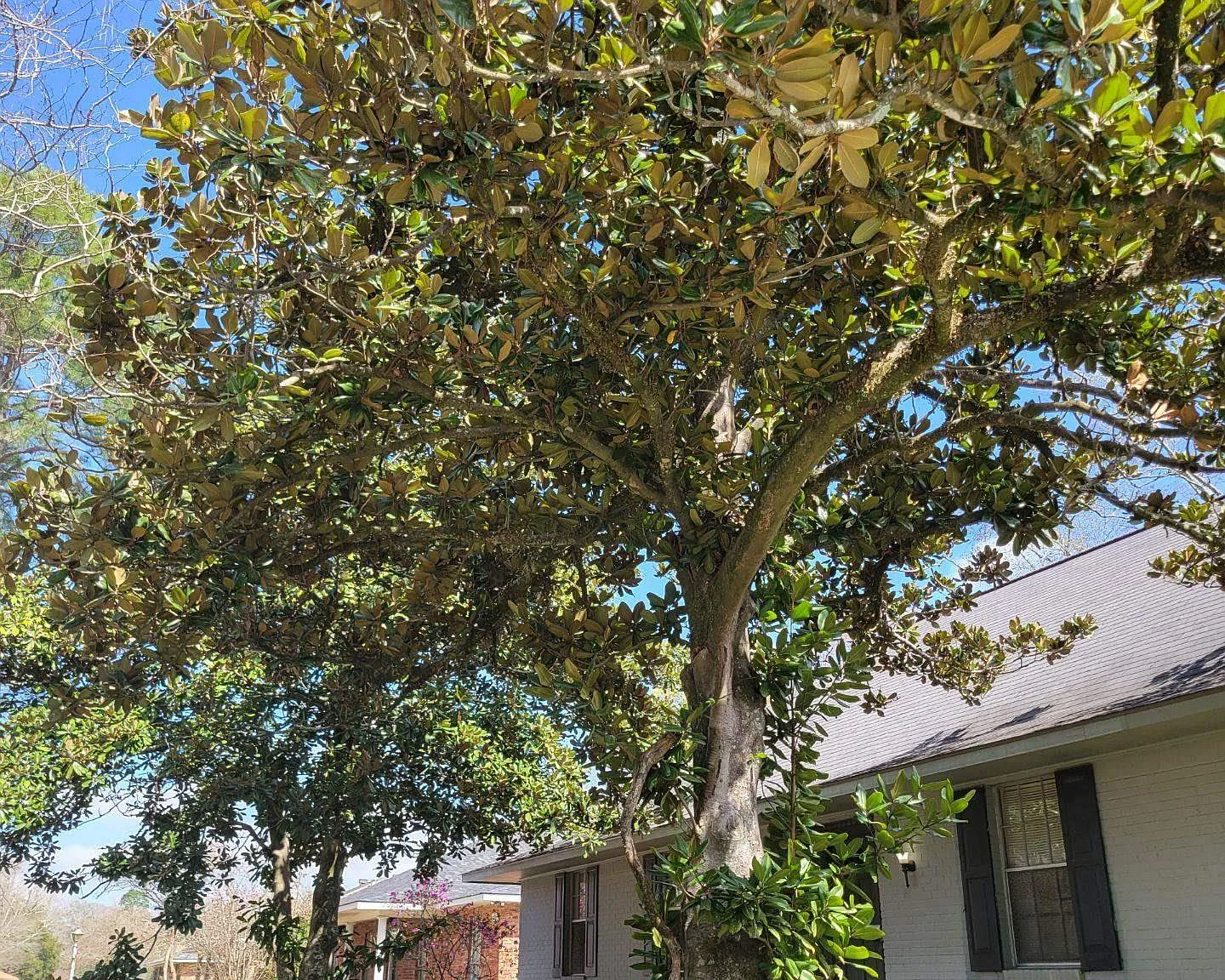 4 bed, 2800 sqft, $2,500 — Photo 2