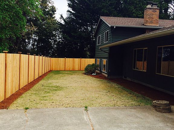 Back yard