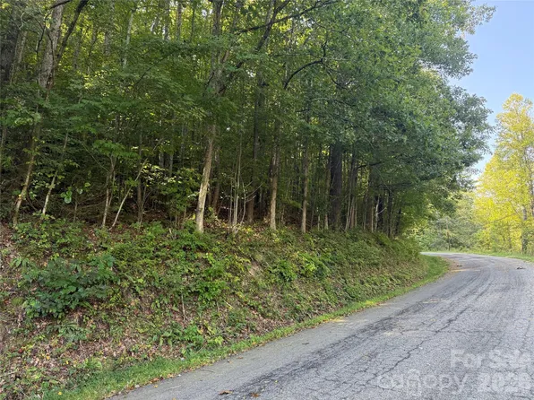 0 Bobcat Rd, Waynesville, NC 28785