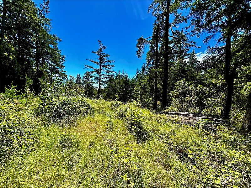 3rd image of 0 Salmonberry Lane