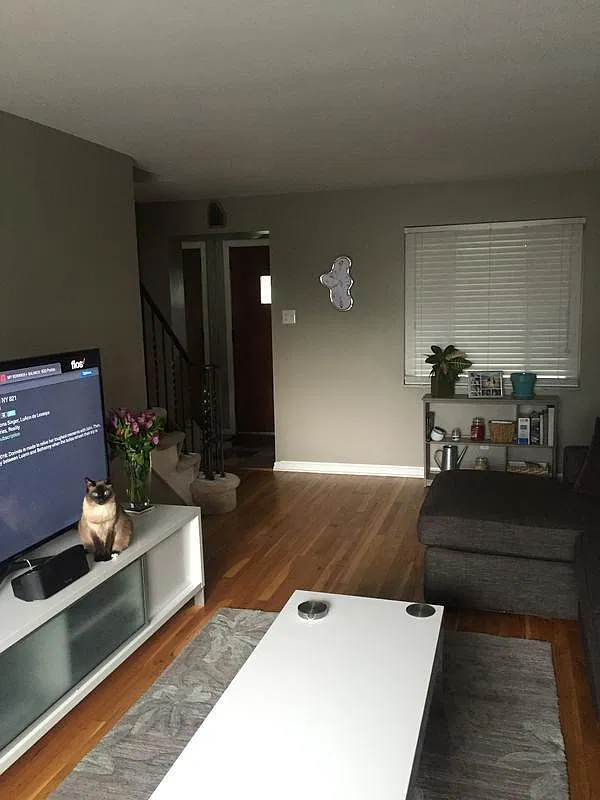 2 bed, 1.5 bath, 1000 sqft, $1,600 — Photo 3