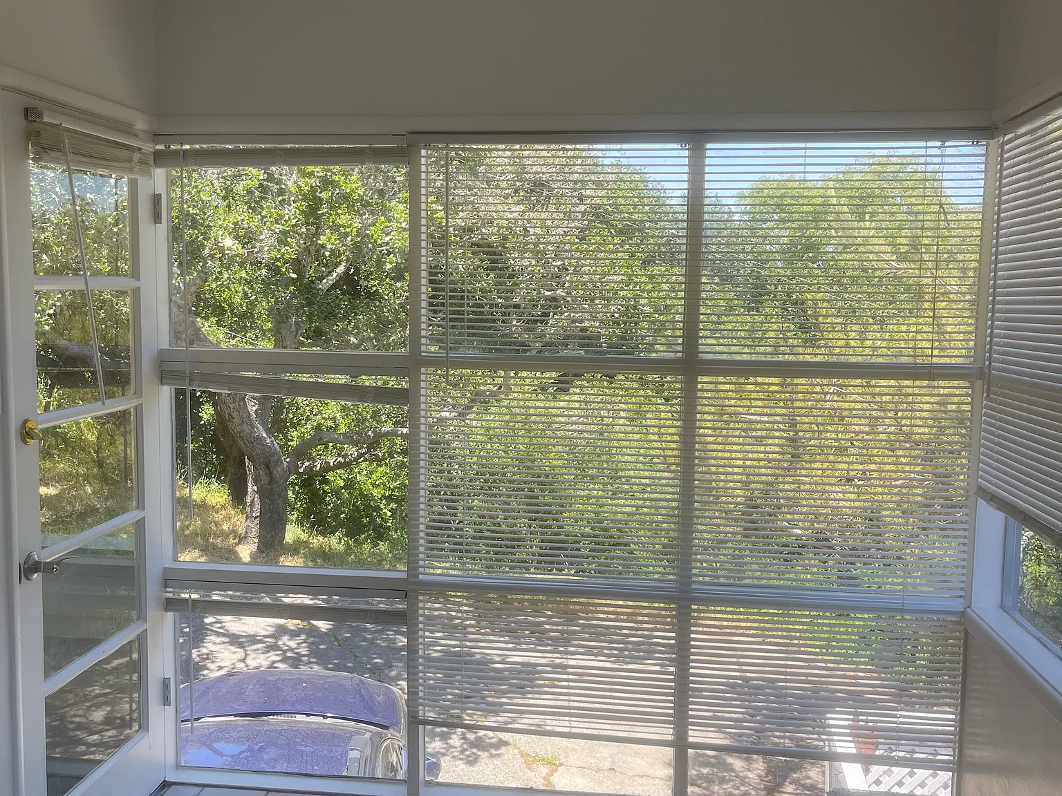 2 bed, $2,625 — Photo 3