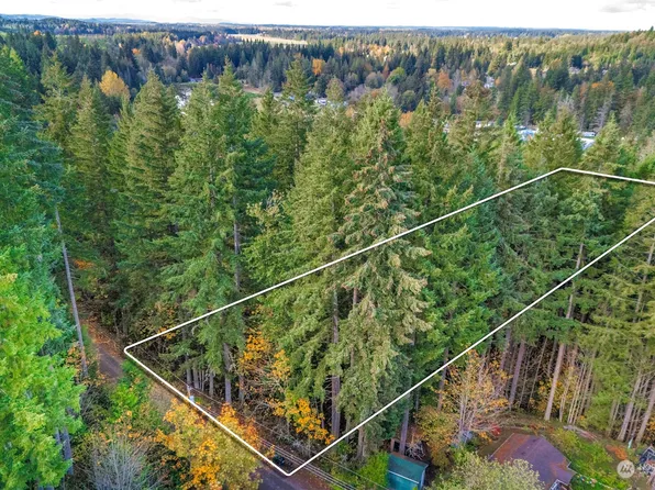 0 Slough Lane SE, Yelm, WA 98597