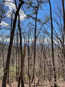 Wooten Cove Rd, Weaverville, NC, 28787