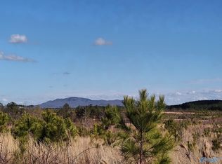 Tom Cat Rd, Gadsden, AL 35903