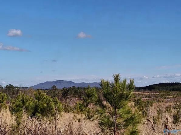 Tom Cat Rd, Gadsden, AL 35903