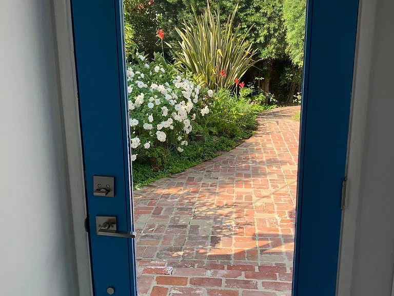 Backyard seen through laundry room door.