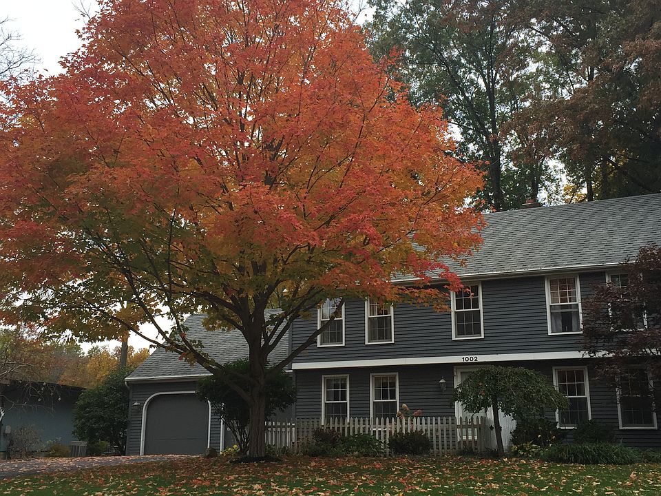 1st image of 1002 Westport Cir
