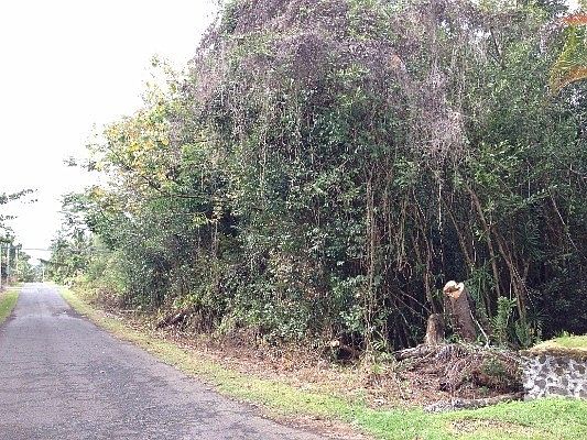 1st image of Kahala St Lot 596