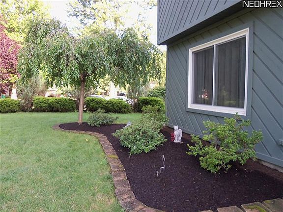 FLOWER BEDS