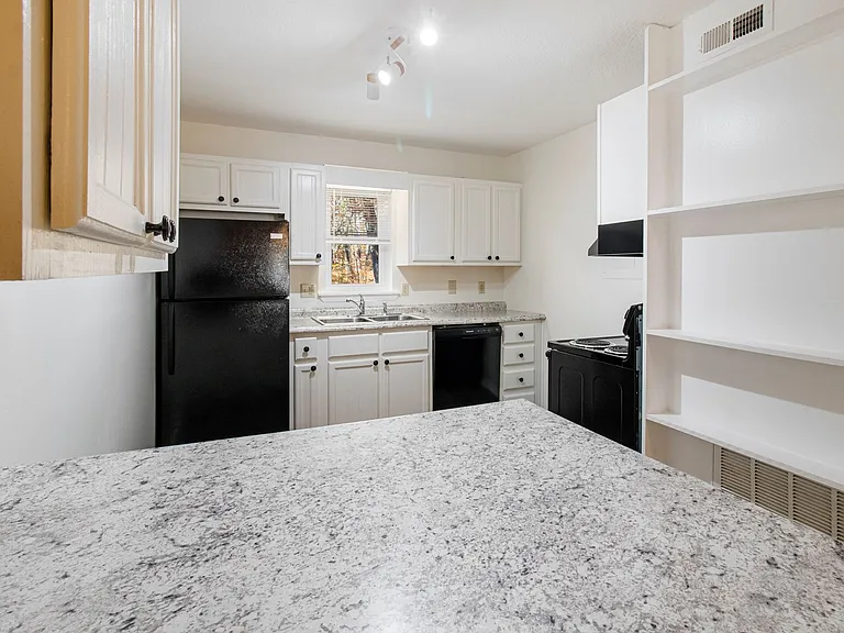 100 Bearwood Dr — Photo 5