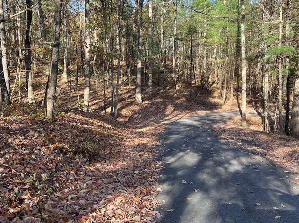 0 Ironwood Rd Lot 255, Mount Jackson, VA 22842