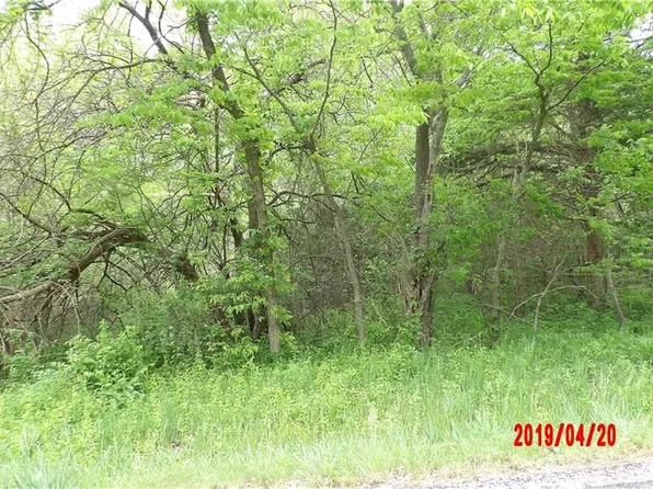 7266 NW State Route Ff, Adrian, MO 64720