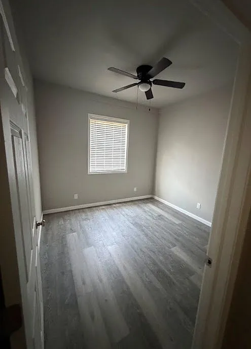 3 bed, 1250 sqft, $1,350 — Photo 2