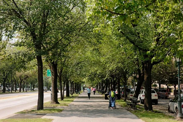 Rented by null | media 23