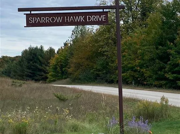 LOT 11 Sparrow Hawk Dr, Bellaire, MI 49615