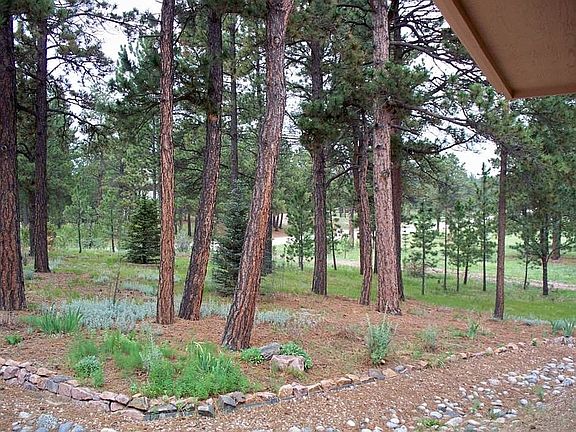 Front Yard from Porch