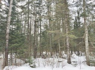 6 S Pioneer Ln #S, Elcho, WI 54428