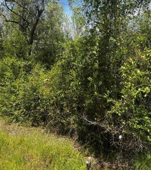 1st image of 0 County Road 40 W