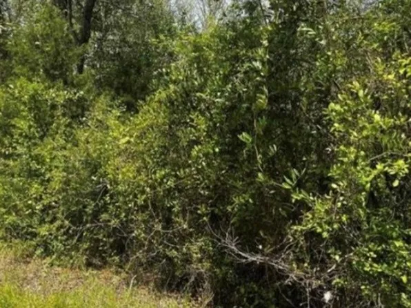 0 County Road 40 W, Prattville, AL 36067