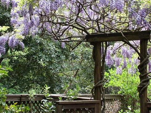 4th image of 16083 Fern Way