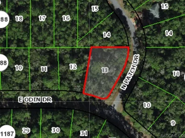 1173 E Odin Dr, Citrus Springs, FL 34434