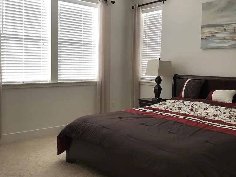 large master bedroom with walk-in closet