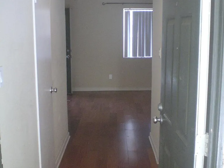 7425 Charmant Dr #2909 — Photo 18