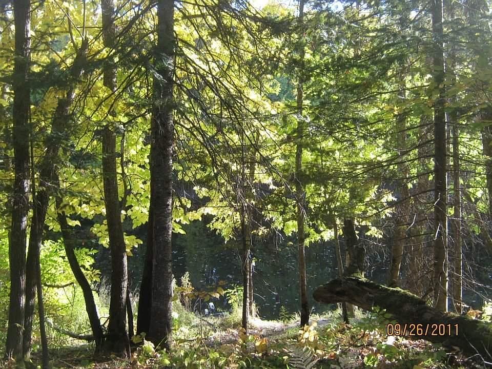 _ State Hwy 11, Baudette, MN 56623 MLS 6414184 Zillow