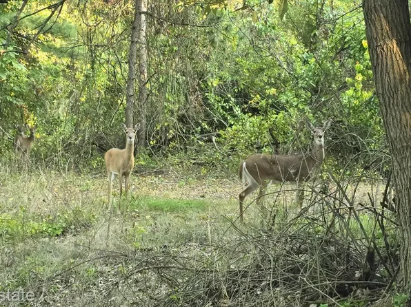 000F N Bay Rd, Delton, MI 49046