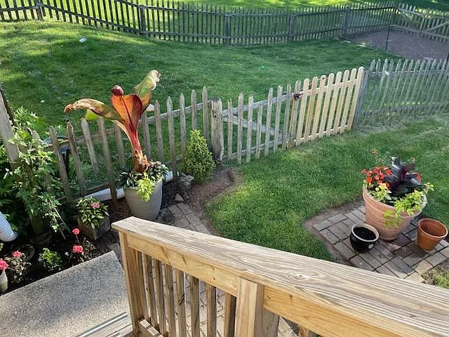 Porch Stairs to yard and driveway