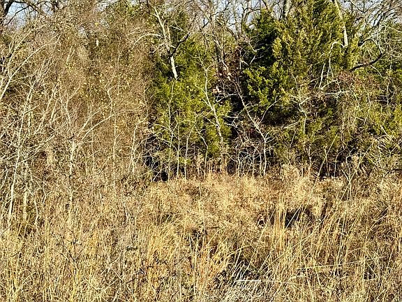 4th image of 12 E 1146th Rd