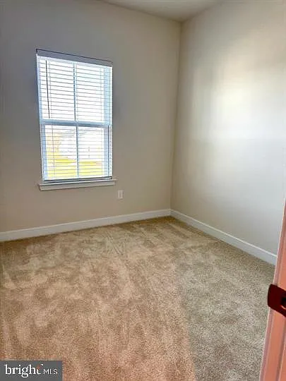 66 Glory Maple Ln — Photo 24