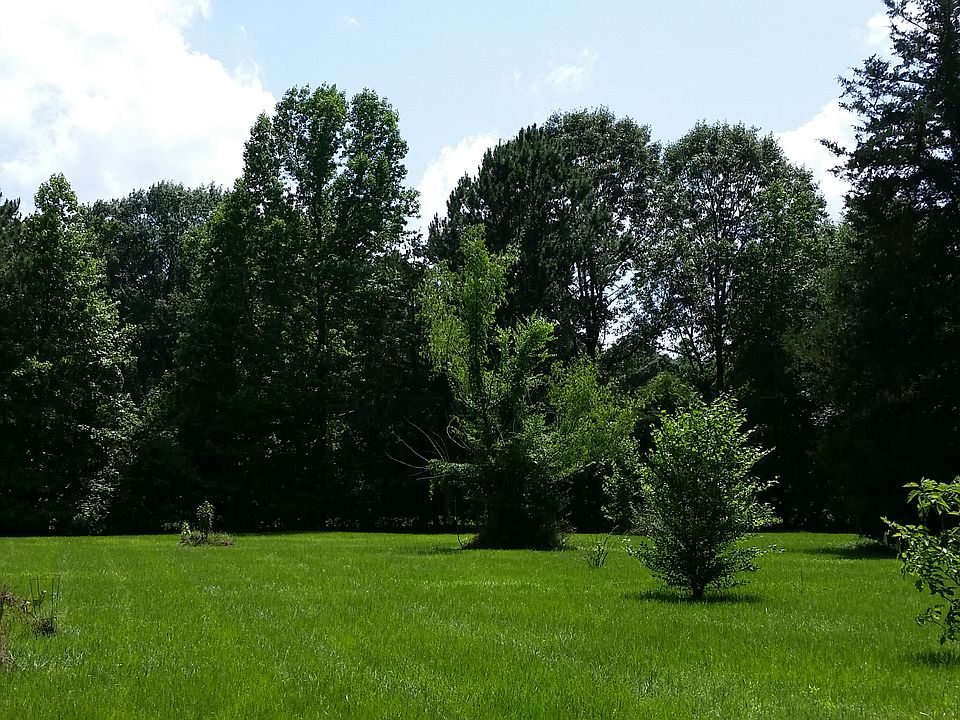 Front acreage pasture grass ready for horses!