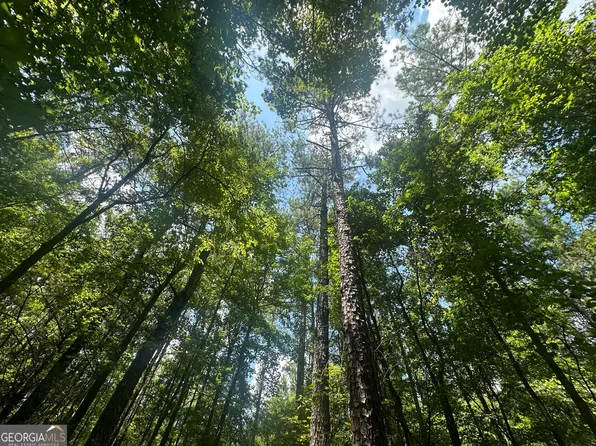 0 Middlebrook Pond Rd, Monticello, GA 31064
