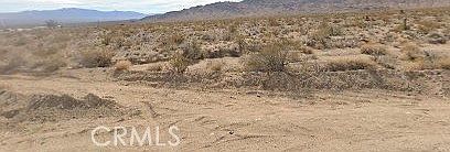 2nd image of 101375 Nipton Rd