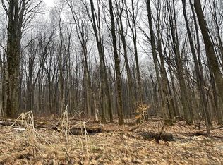 Creek Ridge Rd, Ellicottville, NY 14731