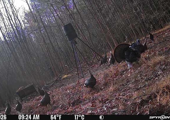 2nd image of 0 Aireys Rd