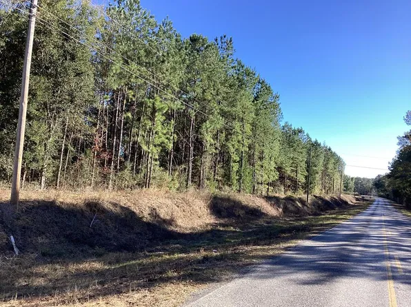 16900 Old School Rd, Opp, AL 36467