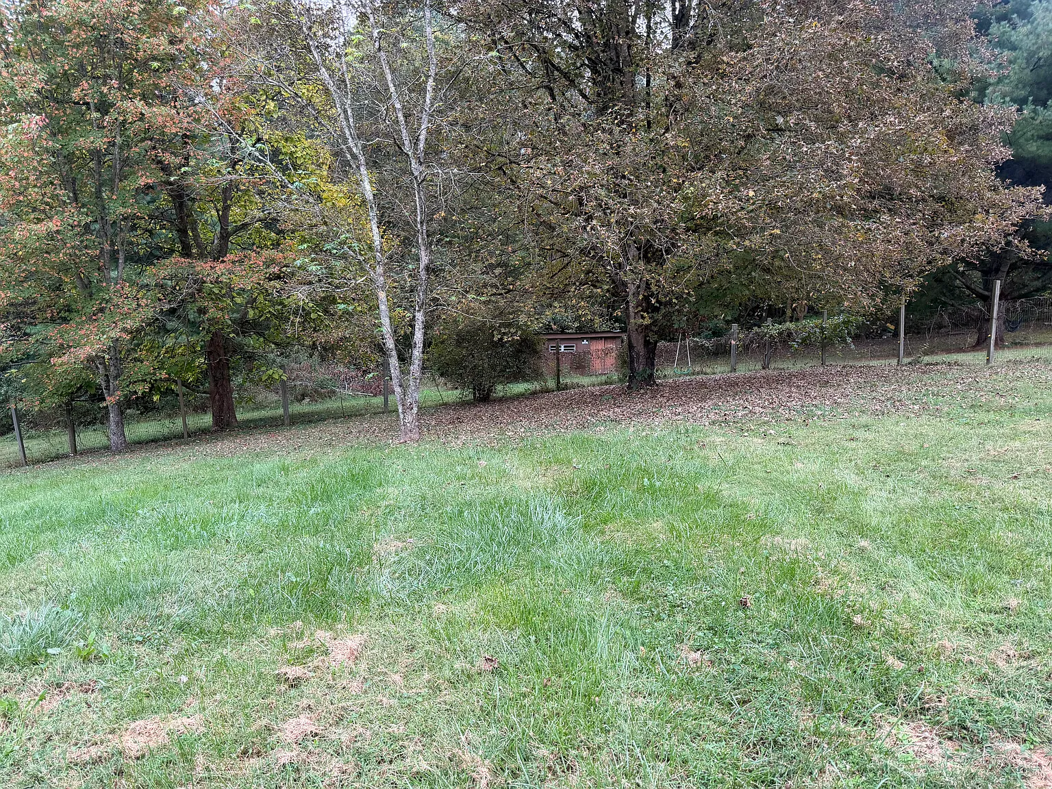 2 bed, 900 sqft, $1,150 — Photo 3