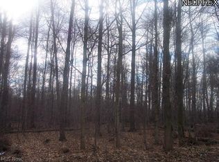 Rohrer Rd, Wadsworth, OH 44281