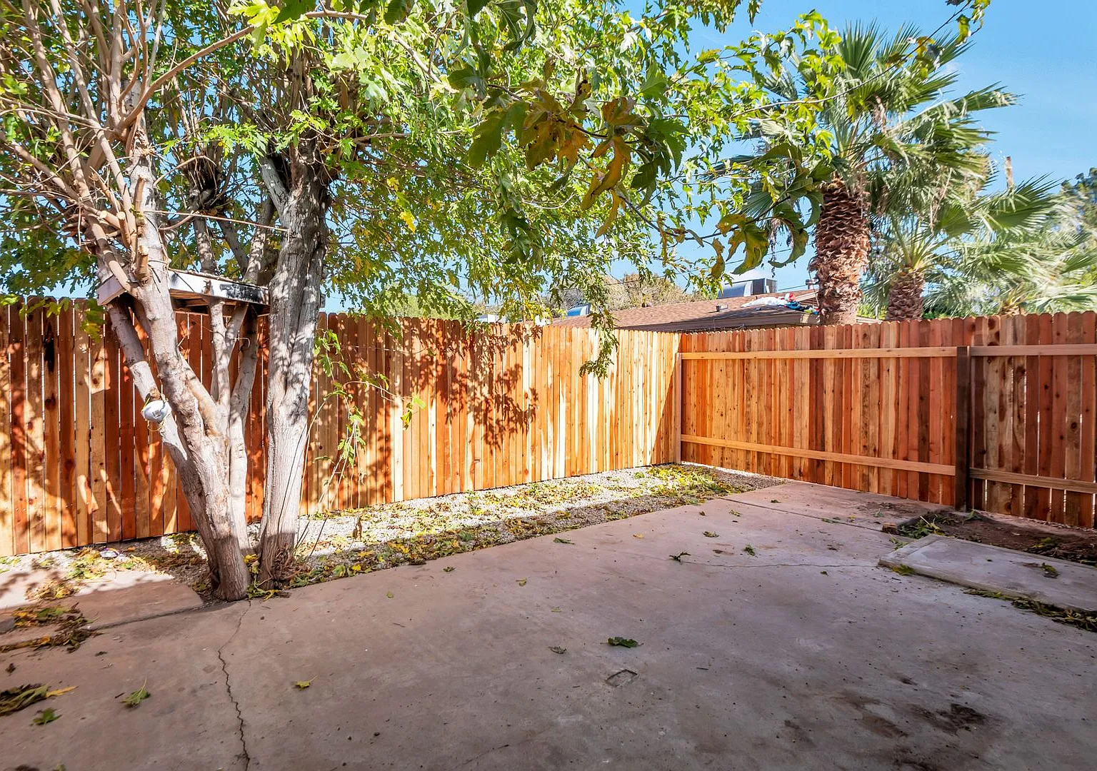 The Lowe located in the heart of Mesa! — Photo 4